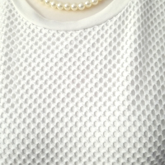 Banana Republic White Net Style Overlay Short Sleeve Top - Picture 7 of 15